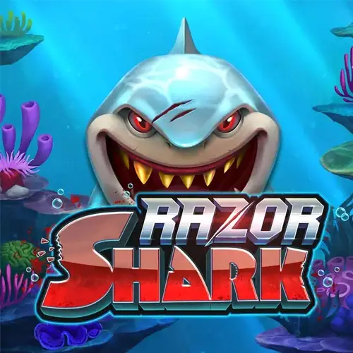 Win2Chill Casino login